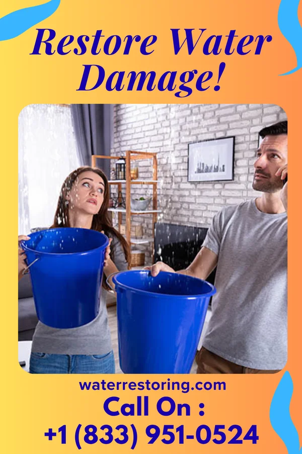 water restoration Capital Water Restoration Experts Decatur